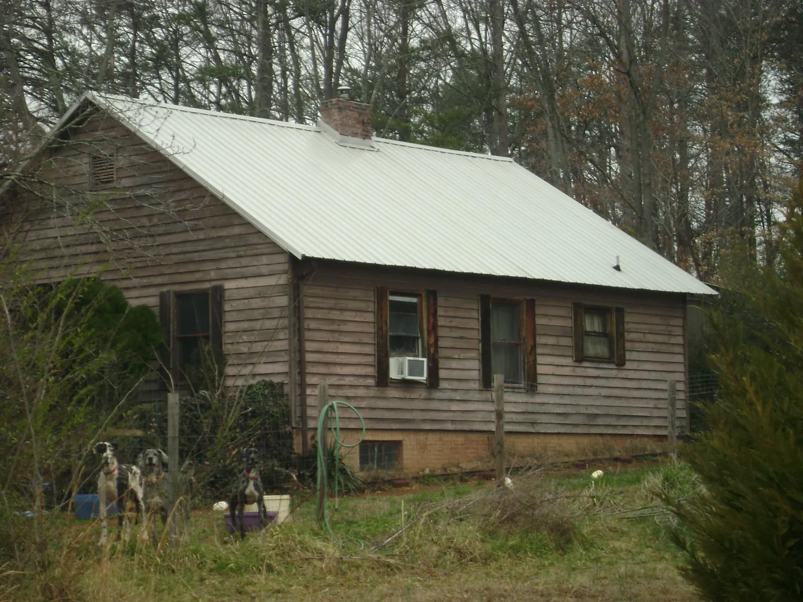 White metal roof on an old wood sided farmhouse, from a Asphalt Shingle Roof Repair job in Mattoon